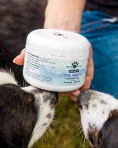 Colostrum benefits for dog gut health include helping defend against dog odor, bacteria and yeasty paws, and dog breath.