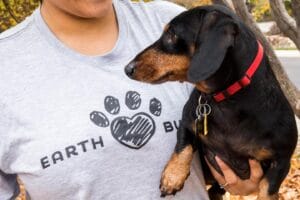 Black Weiner Dog being held by owner to distract from barking. Desensitizing dogs to stressors like the doorbell is a great behavior modification. 