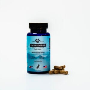 Earth Buddy functional mushrooms with CBD for dogs along with CBDV.