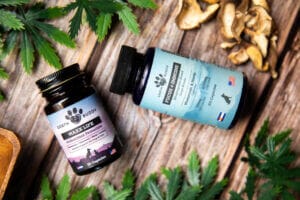 Earth Buddy pet supplements containing Glutathione and Mushrooms. Both contain full spectrum hemp extracts with humulene terpene.
