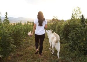 Woman walking with white german shepherd on Earth Buddy’s organic hemp farm with a bag of cbd dog treats for pain. 