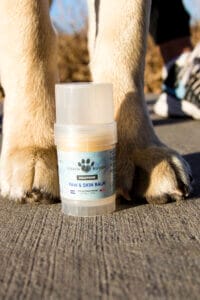 Labrador Retriever paws standing behind Earth Buddy’s organic paw balm for dogs to help soothe irritated paws in winter.