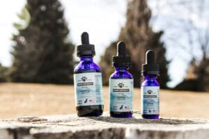 Earth Buddy’s 3 different sizes of their organic, full-spectrum hemp extract for cats. CBD oil has shown to calm cats. 