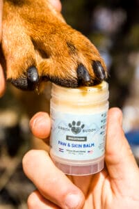 Earth Buddy’s best dog paw balm being applied to a dog’s brown paw to help keep dog paws safe in the winter time.