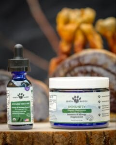 Earth Buddy’s organic functional mushroom supplements for dogs and cats that promote immune support for dogs and cats.