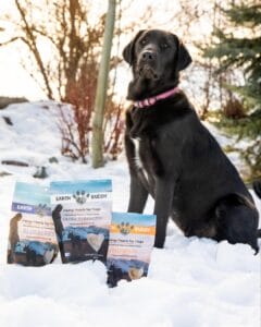 Black labrador sitting in the snow behind Earth Buddy’s organic CBD dog treats for joint pain and separation anxiety. 