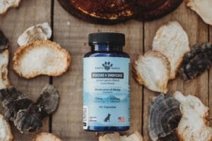 Raw mushrooms surrounding Earth Buddy mushroom capsules for dogs with active ingredients like turkey tail mushrooms.