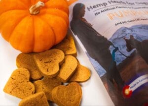Earth Buddy Pumpkin CBD treats for dogs are a great addition to whatever your feeding your dog by supporting gut health.