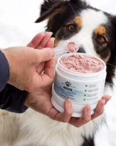 Hand scooping Earth Buddy’s Gut Health for dogs with colostrum & border collie behind to improve intestinal cells & gut.