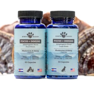 Blue bottles of Earth Buddy functional mushroom capsules for dogs that contain reishi mushrooms for dog allergy support.