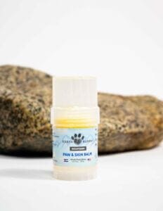 Earth Buddy’s twist-up CBD nose & paw balm for dogs with dry noses and skin with a light blue label in front of a stone.
