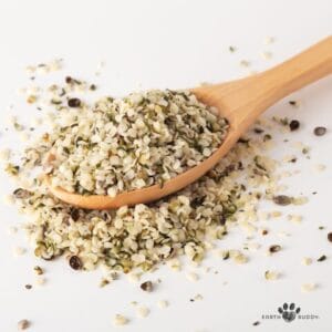 Wooden spoon with a pile of hemp seeds scattered about. Read this blog to learn about the benefits of hemp seed for dogs