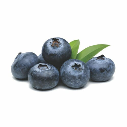 Whole, Organic blueberries in a pile with white background. Read this article to learn more about how blueberries are good for dogs.
