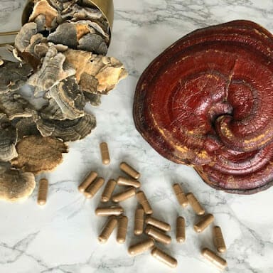 Turkey tail and reishi mushrooms with Earth Buddy functional mushroom capsules on table.