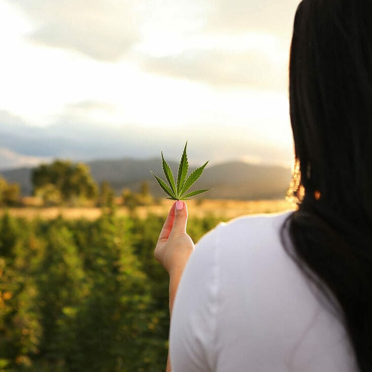 Woman holding a hemp leaf standing in front of Earth Buddy’s organic hemp farm in Colorado.